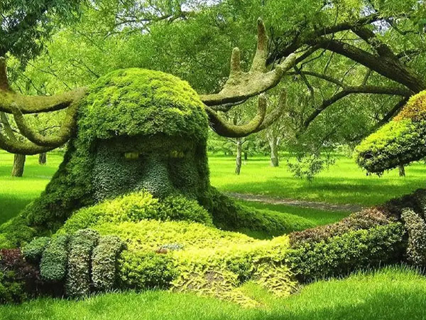 تور ترابزون، باتومی و اووزنگل